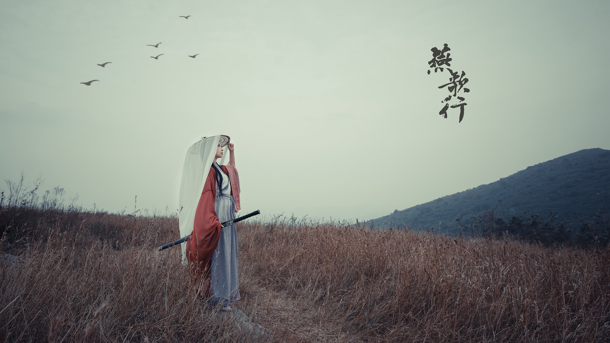 【天使队的崛起】新秀带来更多胜利希望，天使队图片