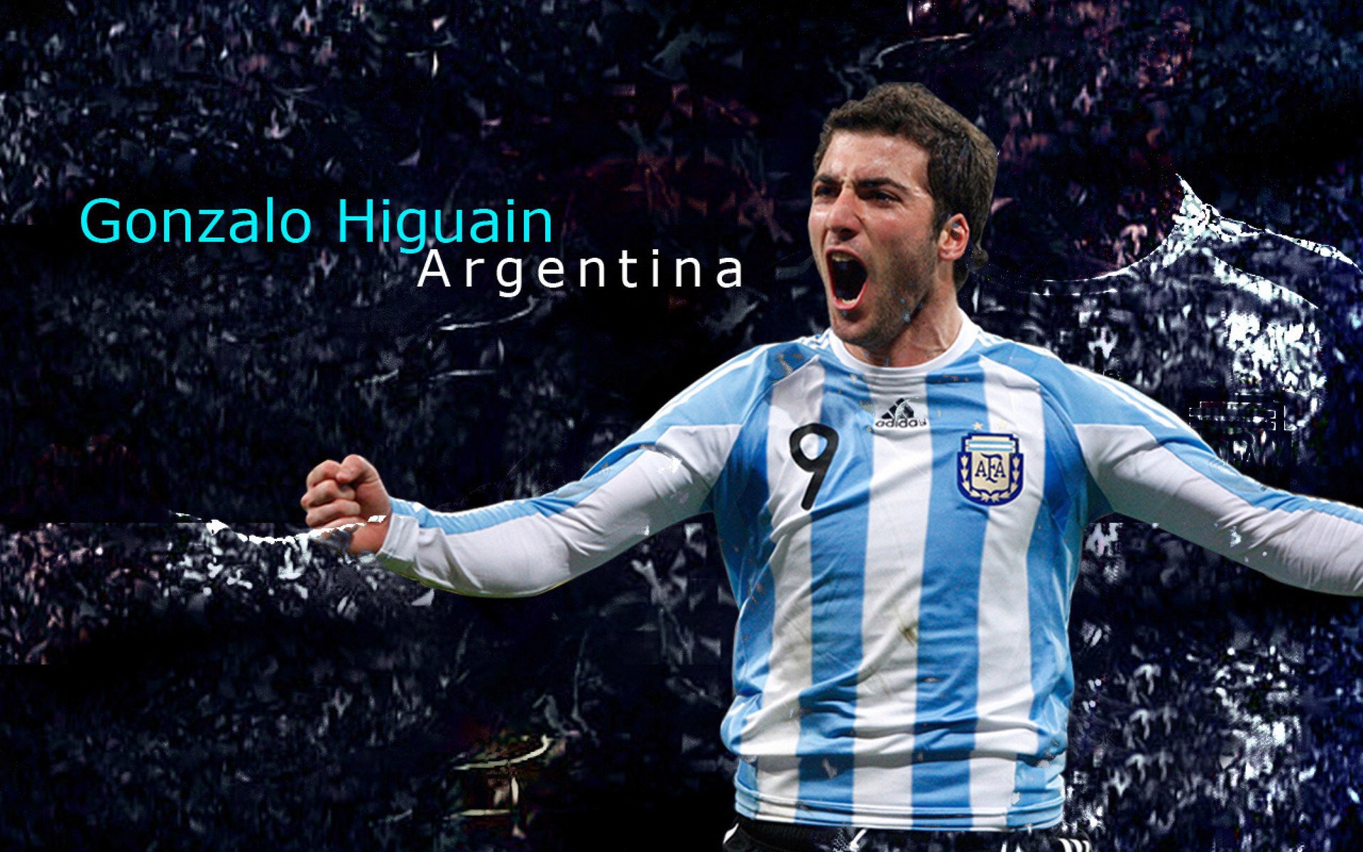 南非羚羊队的反击战术：他们每次进攻都打得精准而犀利，南非大羚羊主要分布哪里