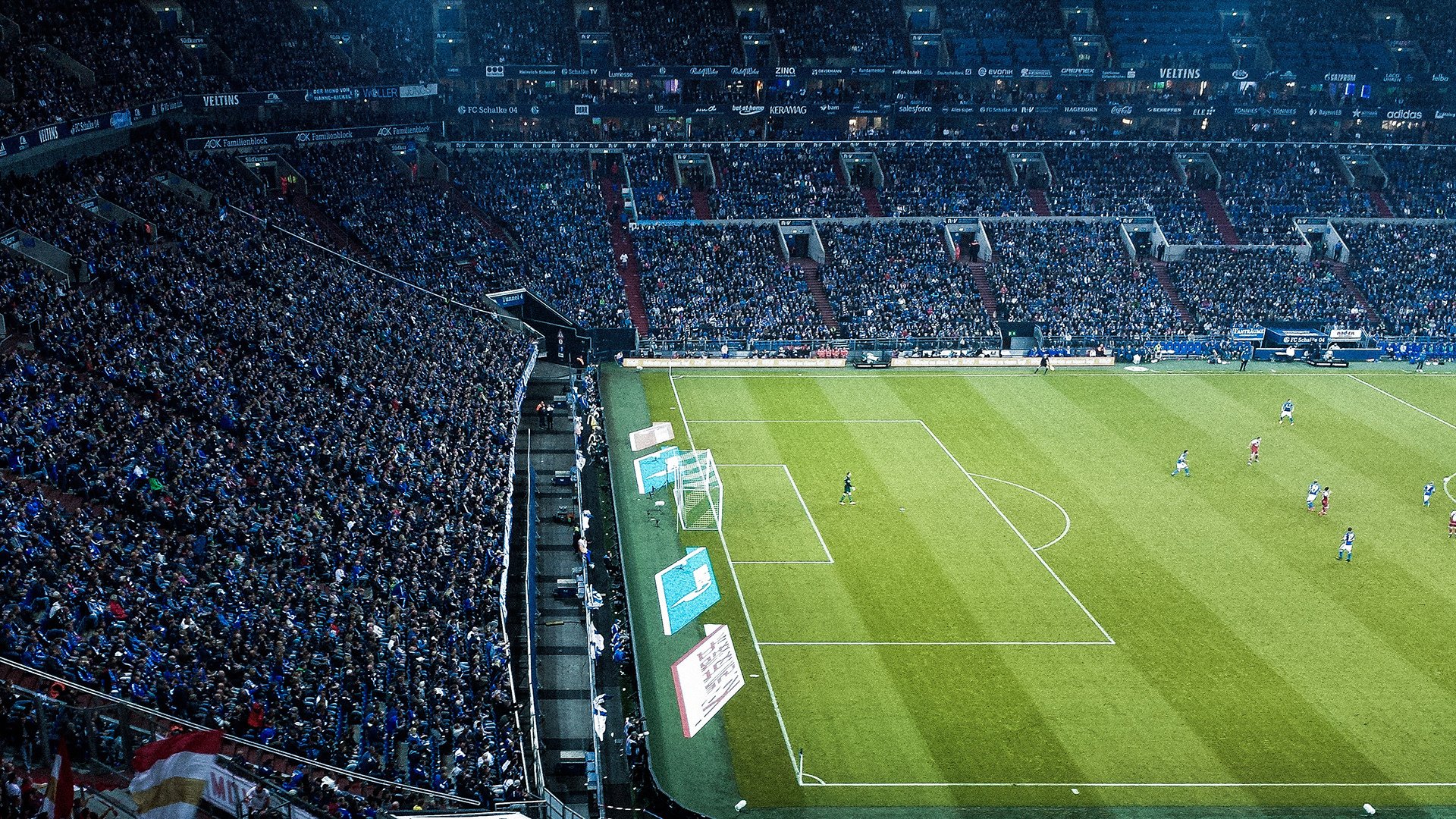 球迷线上投票选出赛场最佳应援口号，互动性增强，篮球赛应援